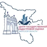 Центр государственной кадастровой оценки Амурской области 