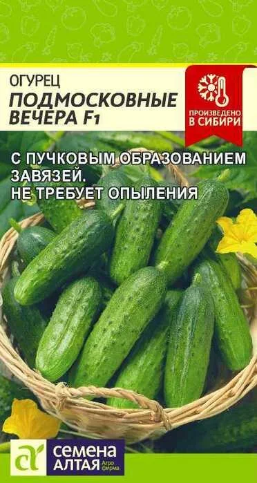 ogurets_podmoskovnye_vechera_f1_5_sht