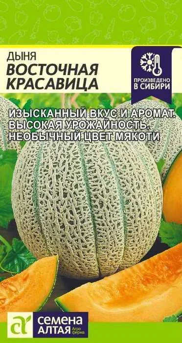 dynya_vostochnaya_krasavitsa_1_g
