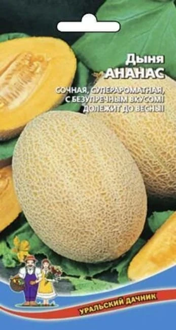 Фото для Дыня Ананас, 10 шт, Уральский Дачник