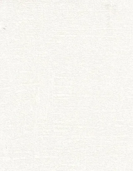 Фото для Обои под покраску Бетон 1,06х25 м белый, виниловые на флизелиновой основе АФ5-12-006