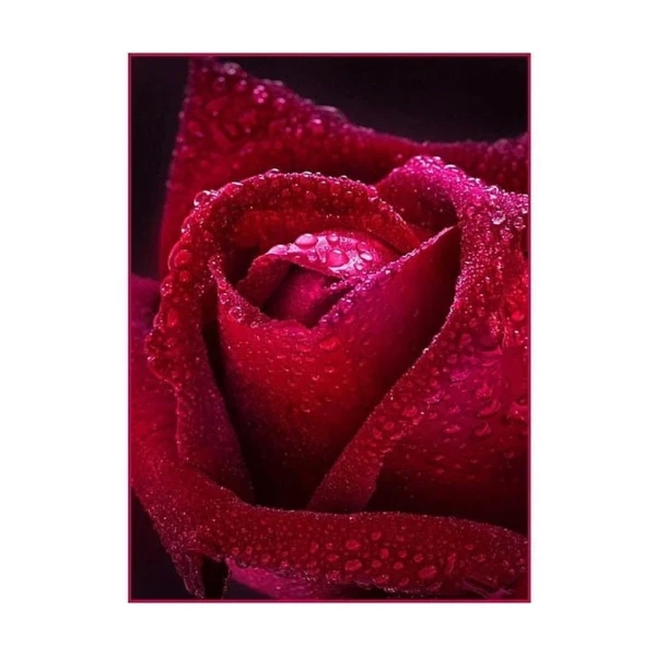 Фото для Фотообои 294/300х201см