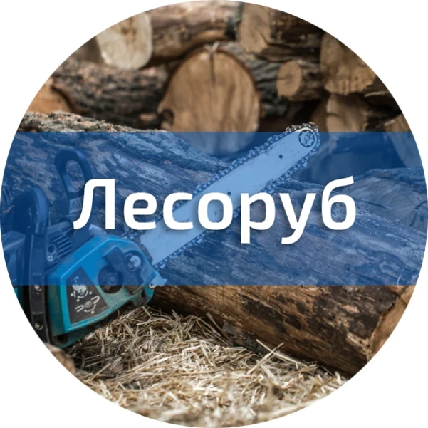 Фото для Лесоруб. Профессиональная подготовка (переподготовка)