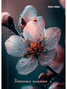 Фото для ЗАПИСНАЯ КН А7 64Л 7БЦ PROFIT КЛЕТКА ГЛЯНЦЕВАЯ ЛАМ (64-1690, КРАСИВЫЙ ЦВЕТОК)