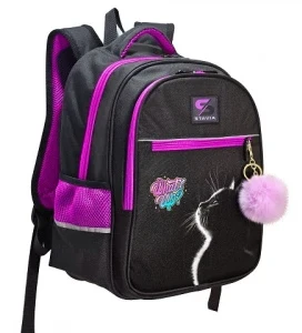 wr6aag34u1av8mlok243gcclfe1gwpdb