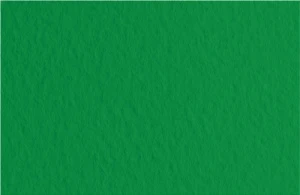 Фото для БУМАГА Д ПАСТЕЛИ FABRIANO TIZIANO ОФС 160Г/М2 70*100CM 1ЛИСТ (52811037, Biliardo/Темно-зеленый)