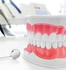 Прием (осмотр, консультация) врача стоматолога-ортопеда БЕСПЛАТНО