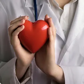 Эхокардиография (УЗИ сердца)