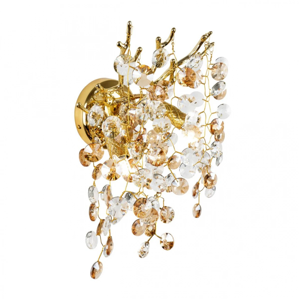 c6c4e9bf_97dd_11ee_b961_001e6713fbbe_9c9ab4f2_c39e_11ef_b97d_001e6713fbbe.resize1