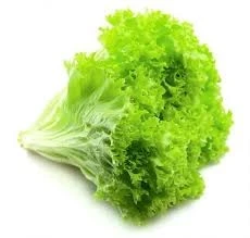 0gj2d4gt6wync7qwi8xdxjnpmj0pa1wf