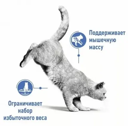 Роял Канин Light Weight Care с/к д/ взрослых кошек для профилактики лишнего веса, 400 г
