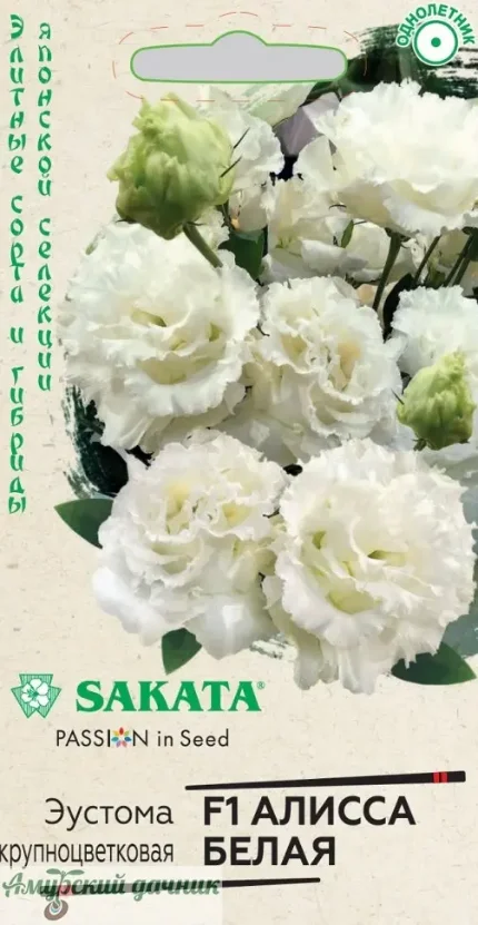 Фото для ЦВЦ Эустома Алисса Белая F1 4 с."Г"/10