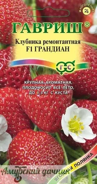 Фото для ЦВП Земл-клуб. Грандиан F1, 5 с. "Г"/20 (ремонт)