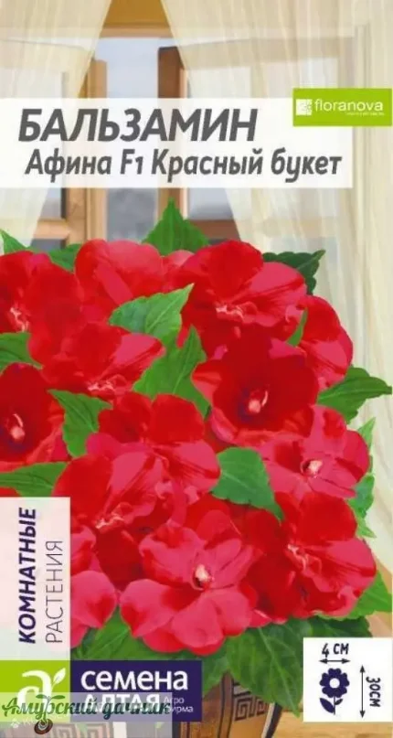 jfcqfwi26i7z0ok7ubea1snel686s2sx