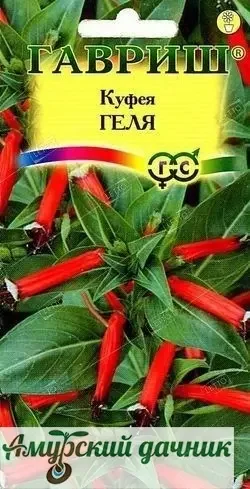 iflnqipr3n7r144fyiwkapn7jovaiv94