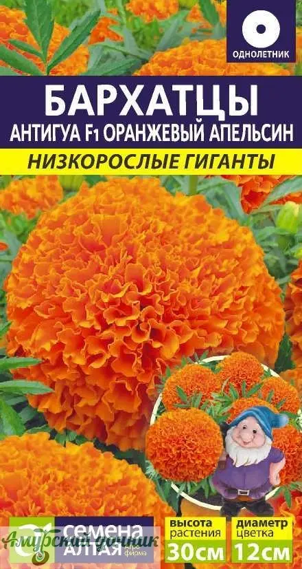 483aa52929c3fc83d6db08e07ffcc9ae