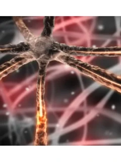 МРТ головного мозга + черепно-мозговых нервов