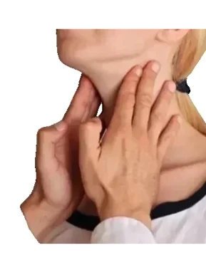 МРТ мягких тканей шеи- мышцы, слюнные железы, щитовидная железа, гортань