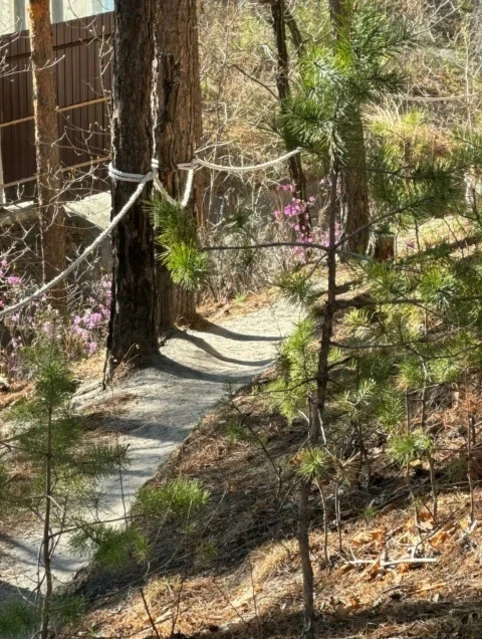 База отдыха "Мухинка"