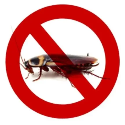 тараканы клопы блоги уничтожение насекомых 
