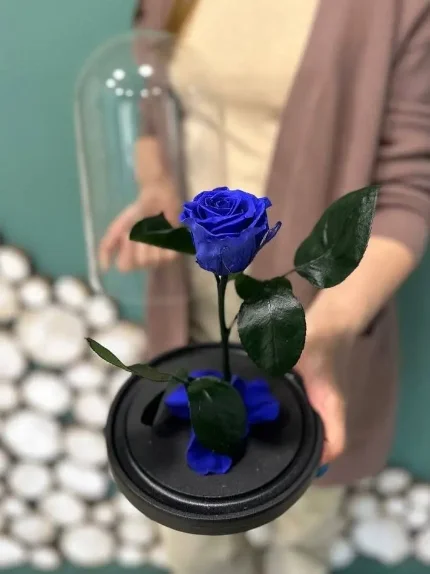 Роза в колбе Синяя
