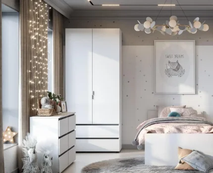 shkaf_dvukhstvorchatyy_s_2_yashch_tokio_v_magazine_alesha_v_blagoveshchenske