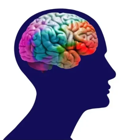 МРТ головного мозга при подозрении на болезнь Альцгеймера