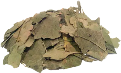 Гинкго билоба лист, 50 гр