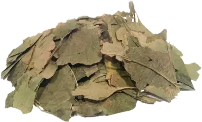 Гинкго билоба лист, 50 гр