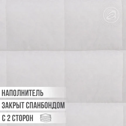 Фото для Одеяло "ЛЕБЯЖИЙ ПУХ" облег. (поплин) Арт дизайн