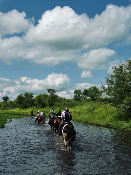 Прогулка на лошадях