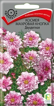 Фото для Космея Махровая кнопка Двуцветная (ЦВ) ("1) 0,1гр