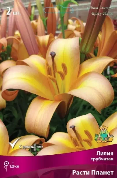 a8ec1e26dd9311ed8293d85ed377b6fa_78be400e29e111ee8297d85ed377b6fa