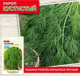 Фото для Укроп Кустистый (2г)