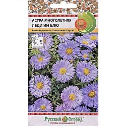 Фото для Цветы Астра многолетняя Леди Ин Блу (0,07г)