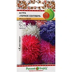 Фото для Цветы Астра Первое сентября, смесь (0,2г)