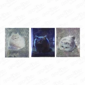 Фото для Набор обложек для тетрадей Пухлые коты блестящие 3шт