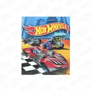 Пакет подарочный Hot wheels 26х32см