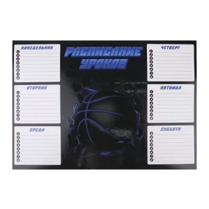 Фото для Расписание уроков Баскетбольный мяч А4